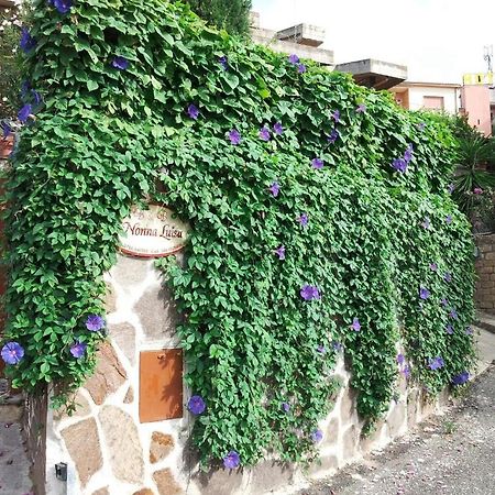B&B Nonna Luisa Таркиния Екстериор снимка